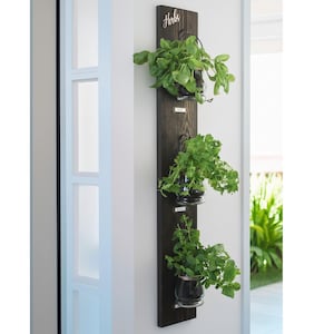 Rustic Wall Hanging Herb Garden: Tin or Glass Pots, Kitchen Decor