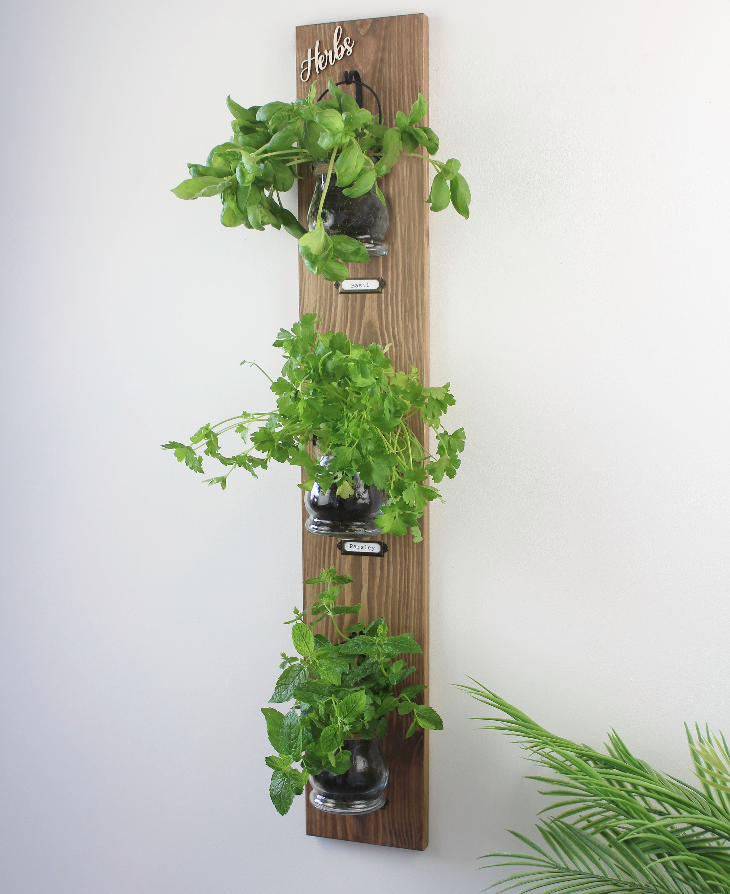 Jardin d'herbes aromatiques à suspendre avec pots en verre rustiques,  décoration de cuisine, doigts verts, herbes et épices, décoration d' intérieur, cadeau de pendaison de crémaillère -  France