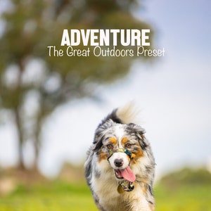 The Great Outdoors Adventure Preset