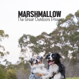 The Great Outdoors Marshmallow Preset