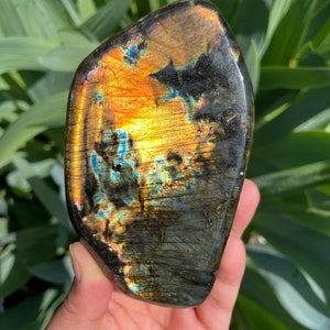 Vibrant ORANGE / BLUE Labradorite Freeform, Labradorite Freeform, Madagascar Labradorite, Rainbow Labradorite , Earth Sista Gems
