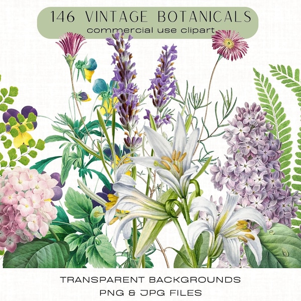 146 Botanical Clipart Bundle vintage Illustrations de fleurs Palmiers Fougères Cactus Plantes grasses Roses Éléments floraux Téléchargement numérique png