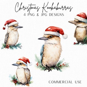 Bundle de cliparts de Noël Kookaburra, cliparts de Noël australien, chapeaux de Noël, décorations de Noël aquarelles, impressions d'oiseaux de Noël, carte de Noël