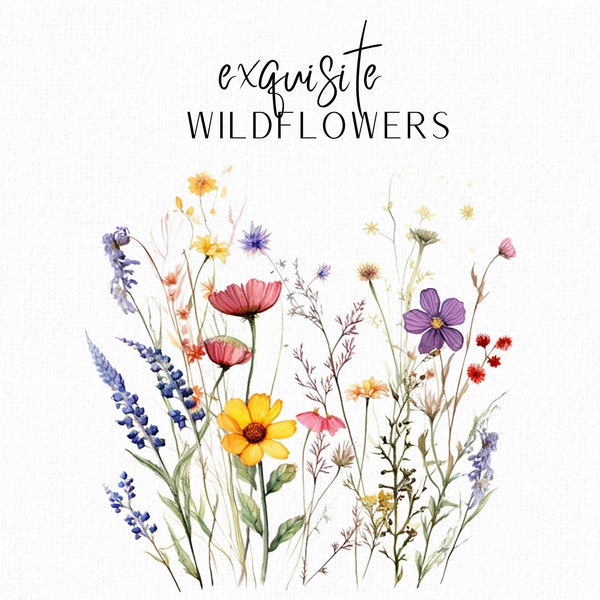 Watercolour Wildflower Meadow Clipart Wildflower Row Border Floral Wedding Invitation Wild Flower Greeting Card Clipart PNG Commercial Use