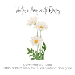 Marguerite Daisy Flower Clipart per stampe, Scrapbooking, carta, stazionario, collage, decoupage, progetto artigianale, arte floreale png, Ukiyo E Art
