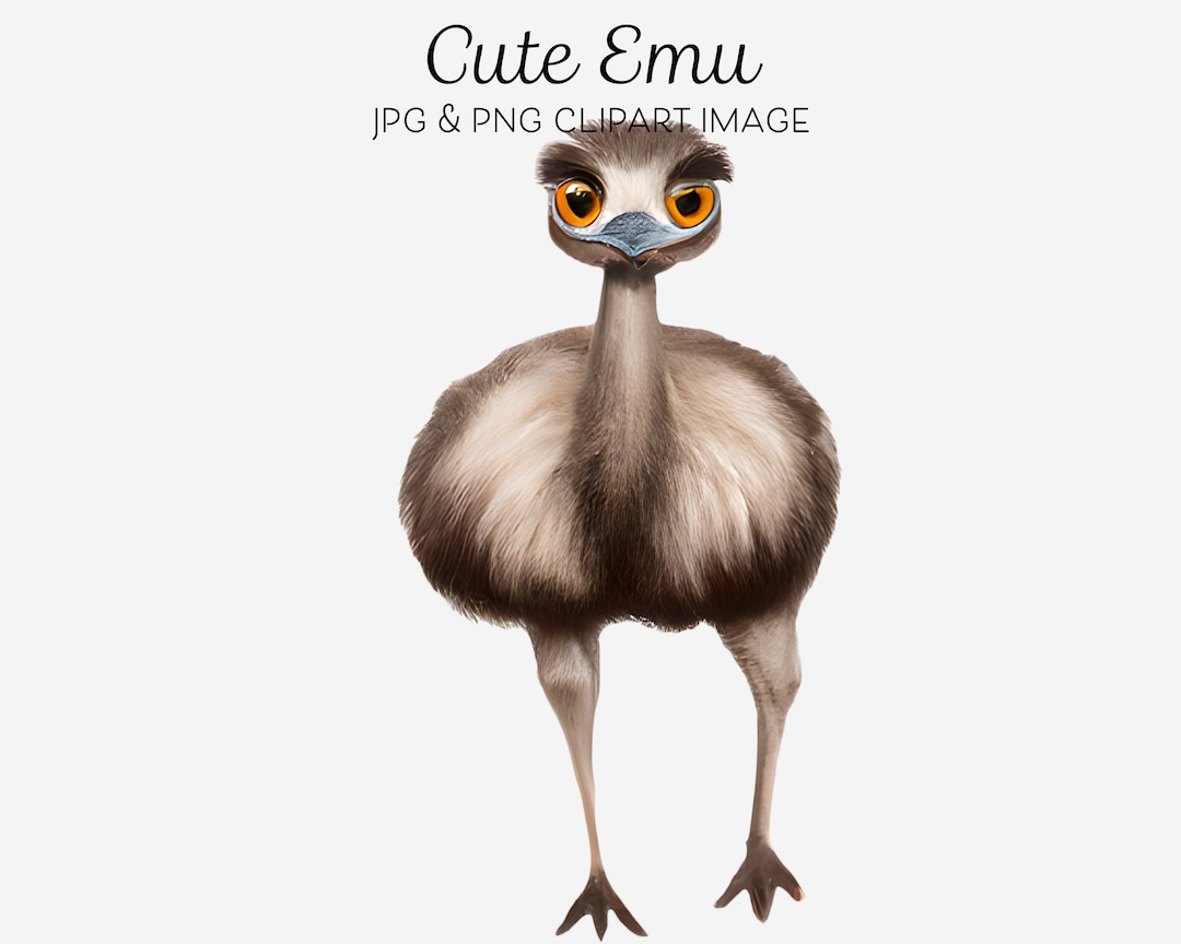Cute Emu Clipart Emu Png Australian Bird Kawaii Chibi Cartoon
