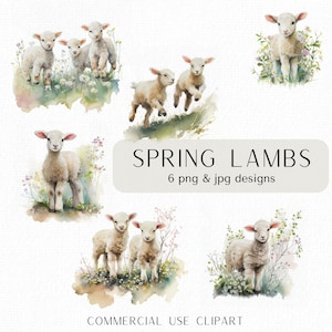 Frühlingslämmer Clipart-Bundle Aquarell Lamm Baby Schafe png Lamm png Verspielt Bauernhof Tiere Frühling png Kommerzielle Nutzung Digitaler Download Bilder