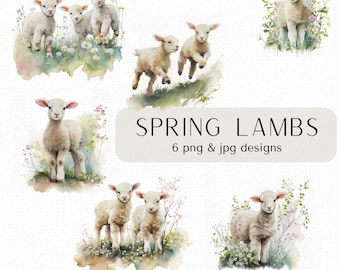 Spring Lambs Clipart Bundle Watercolour Lamb Baby Sheep png Lamb png Playful Farm Animals Spring png Commercial Use Digital Download Images