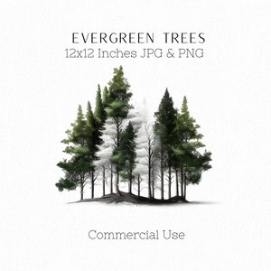 Arbres forestiers Clipart, Forêt png, Arbres à feuilles persistantes, Pins, Nature png, Arbres de Noël, Clipart pour cartes, Scrapbooking, Journalling