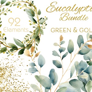 Eucalyptus clipartbundel, aquarel groen png, gouden botanische frames, bruiloft uitnodigingsgraphics, bloemenkransen, commercieel gebruik