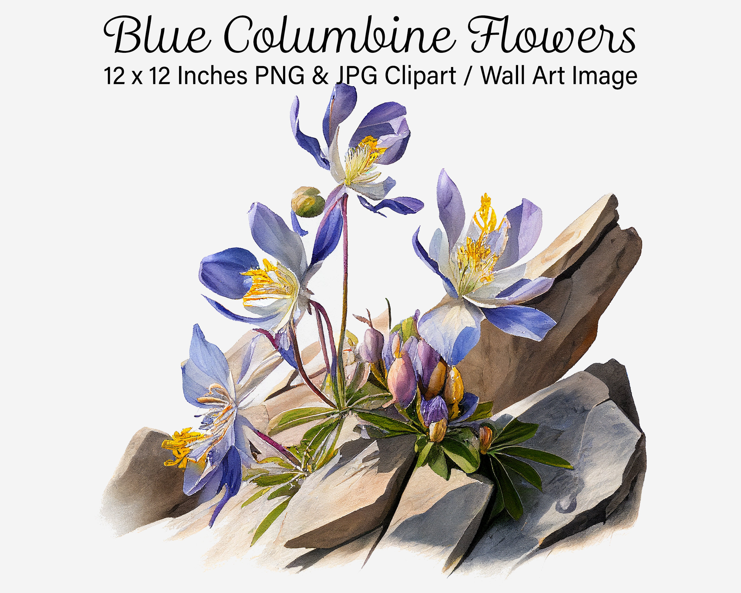 Columbine Flower Clip Art