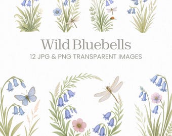 ブルーベルのクリップアートバンドル、ワイルドフラワーPNGセット、コテージコアの花のイラスト、植物の花のグラフィック、森の野生の青い花