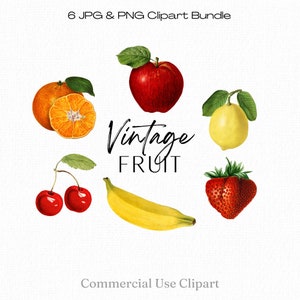 Pacote de Clipart de Frutas Banana png Maçã Laranja Morango Cerejas Limão Clip Art Uso Comercial Frutas Ilustrações Vintage Download Digital