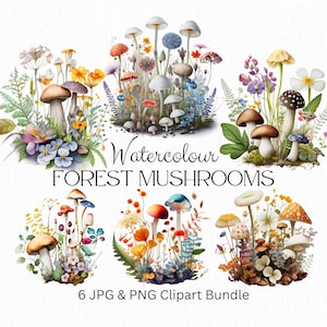 Bundle de cliparts champignons forestiers, champignons png, art fantastique, champignons magiques, champignons vénéneux, clipart champignons, téléchargement numérique, art des contes de fées