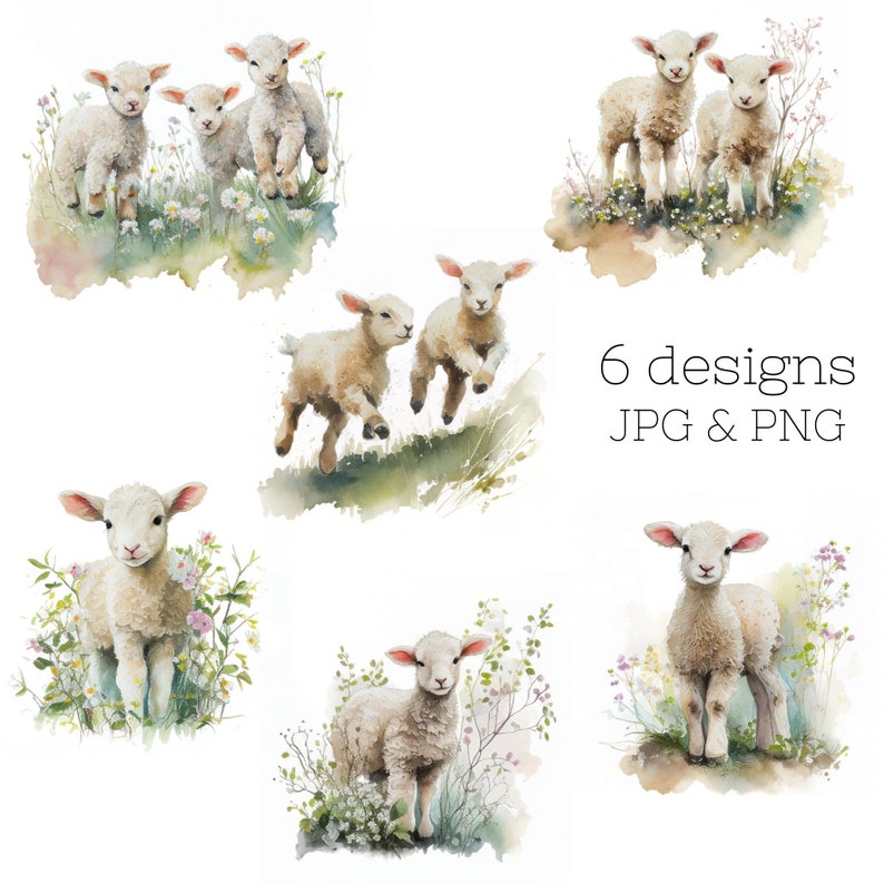May include: Six watercolor illustrations of cute lambs in various poses, surrounded by green grass and wildflowers. The illustrations are perfect for adding a touch of whimsy to any project.