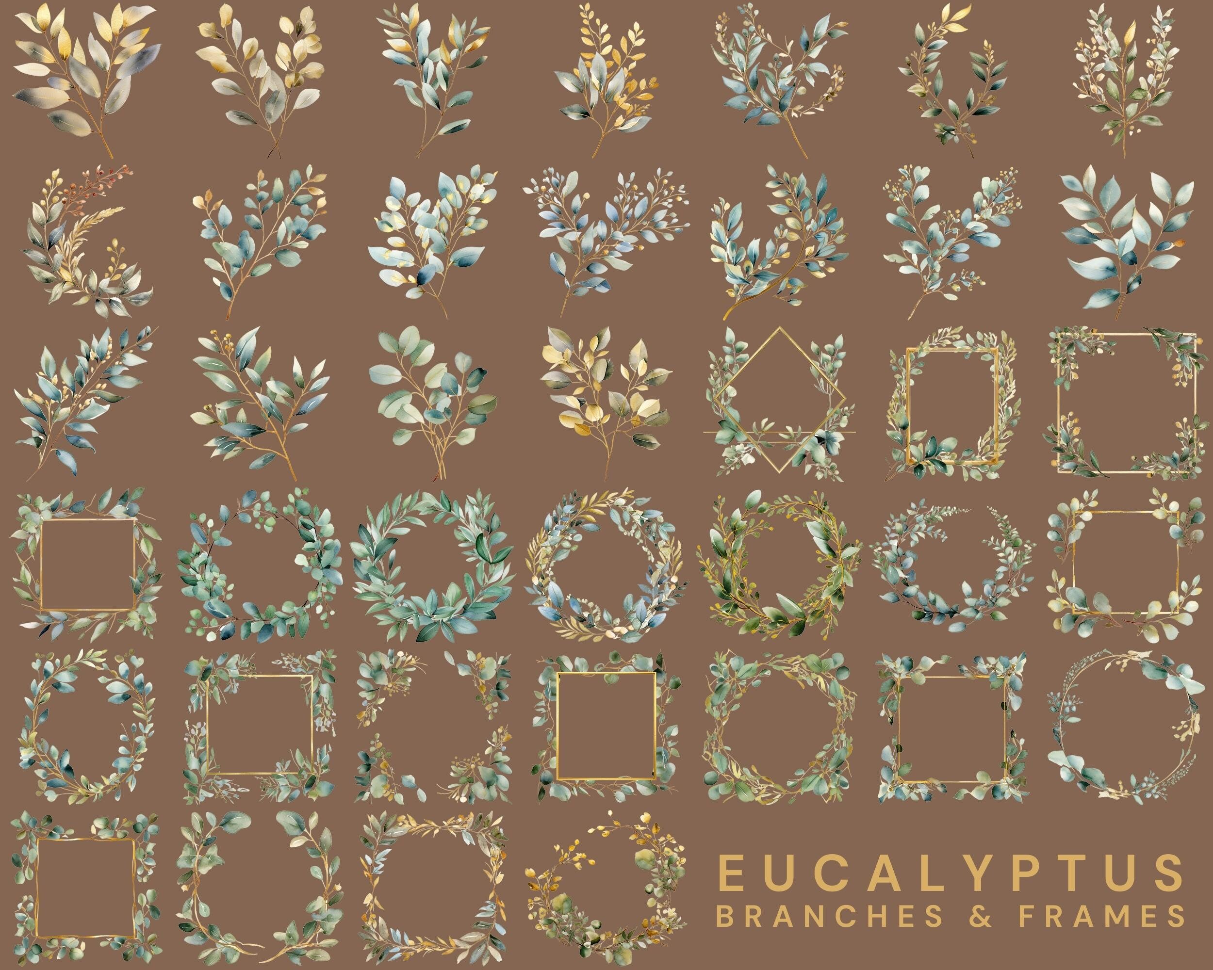 Eucalyptus Clipart Bundle, Watercolor Greenery PNG, Gold Botanical ...
