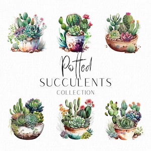 Imágenes prediseñadas de suculentas Imágenes prediseñadas botánicas Suculentas png Cactus en flor Plantas de interior Diseño de interiores Imágenes prediseñadas Archivos de sublimación Uso comercial
