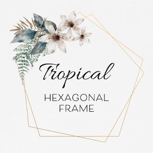 Clipart con cornice esagonale doppia, cornice dorata, clipart con fogliame, cornice con clip art tropicale per invito a nozze, ghirlanda png, biglietto di ringraziamento