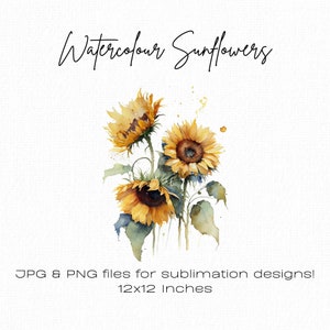Imágenes Prediseñadas de girasol, girasoles png, flores de acuarela amarillas, imágenes prediseñadas para tarjetas, día de la madre, álbum de recortes, diseño de camisetas, uso comercial