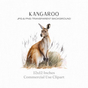 Kangaroo Clipart, Watercolour Kangaroo Print, Australian Animal Illustration, Kangaroo png, Australian Nature, Wall Art, Commercial Use