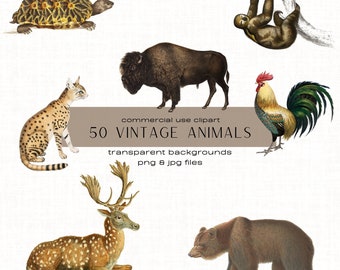 50 種類の動物のクリップアート バンドル、ビンテージ イラスト、アンティーク アート、デジタル エフェメラ PNG クリップアート、ジャンク ジャーナル、スクラップブック、商用利用