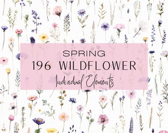 May include: A collection of 196 watercolor illustrations of spring wildflowers, including lavender, daisies, and other delicate blooms. The illustrations are perfect for creating digital or printed designs.