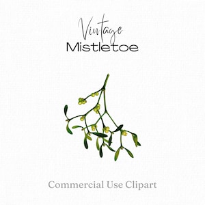 Maretak Clipart DIY kerstkaart, Maretak tak, Maretak ontwerpen voor kerstversiering, Maretak png, commercieel gebruik afdrukbare