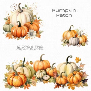 Pumpkin Clipart Bundle, Fall Harvest Clip Art, Autumn Pumpkin Patch Illustrations, Thanksgiving Digital Download, Scrapbooking Elements