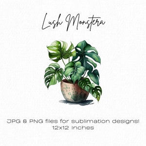 Monstera Clipart, grande plante en Pot, plante d’intérieur, plante feuillue, Monstera png, Clipart pour bricolage cadeaux, cartes de voeux, Junk Journal, Art mural