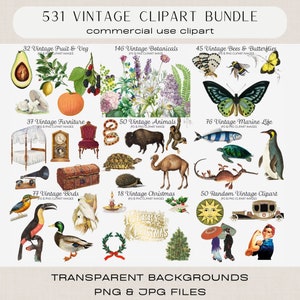 Mega Clipart Bundle 531 Commercial Use Clip Art Images Botanical Animals Birds Butterflie, Marine Life Furniture Fruit Vegetables Christmas