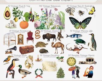 メガ クリップアート バンドル 531 商用利用可能なクリップアート画像 植物 動物 鳥 蝶 海洋生物 家具 果物 野菜 クリスマス