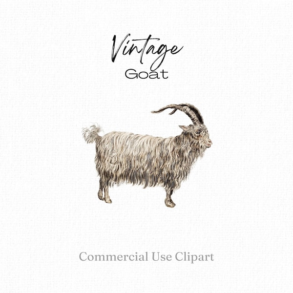 Vintage Goat Clipart, Capra Hircus Illustration, Goat png, Farm Animal, Shaggy, Long Hair, Wild Goat Horns, DIY Goat Gifts, Commercial Use