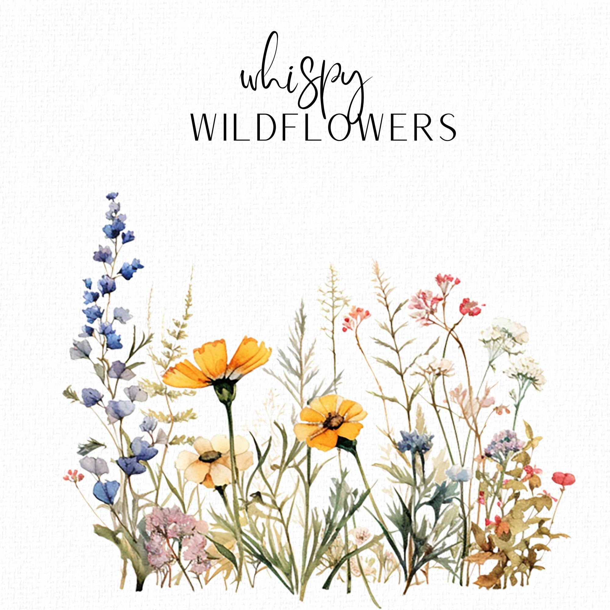 Watercolour Wildflower Meadow Clipart Wildflower Row Border Floral Wedding Invitation Wild Flower Greeting Card Clipart PNG Commercial Use