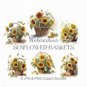 Aquarell Sonnenblumen Clipart Bundle, Sonnenblumen png, Botanisch, Weidenkörbe, Blumen in Körben, Sommerblumen, digitaler Download