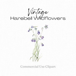 Kwiaty Harebell, Fioletowy Wildflower png, Fioletowy Campanula Rotundifolia Vintage Clip Art, Zaproszenia DIY, Materiały do tworzenia kartek, Dziennik śmieci