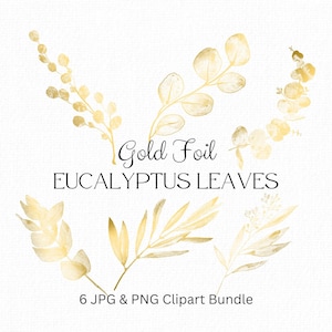 Goldfolie Eukalyptus Zweig Clipart Bundle, Zarte Blattgold Design-Elemente, Botanische Clipart, Eukalyptus png, DIY Logo, Einladungen