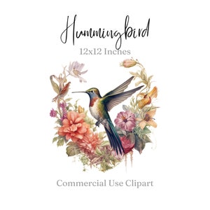 Hummingbird Clipart for Collage, Invitations, Party Props, Home Decor, Decoupage, Junk Journal, Hummingbird png, Digital Download Printable