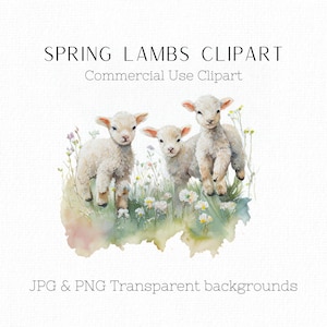 Bébé animal Png, bébé animal clipart, aquarelle clipart, troupeau de moutons, bébé mouton, agneau png, aquarelle animal, pépinière printemps clipart
