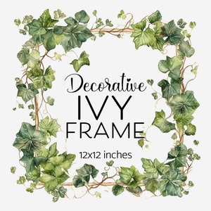 Marco decorativo de hiedra para tarjetas Invitaciones Signos Marca comercial Borde frondoso Clipart 12X12 pulgadas Ivy Border Greenery Uso comercial