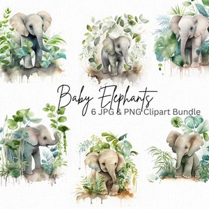 Pacote de clipart de elefantes bebês, clipart de convite para chá de bebê, saudação para recém-nascidos, clipart de selva, animais fofos png, download digital