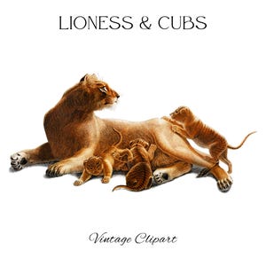 Leona y cachorros, imágenes prediseñadas vintage, familia de leones, animales africanos, animales salvajes, sublimación de camisetas png, diseño de tazas, collage, álbum de recortes png