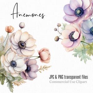 Anêmona Clipart Flores em Aquarela Aquarela Clipart Buquê Floral Convite de Casamento Aquarela Floral Pastel Anêmona Clipart Conjunto de 5