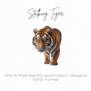 Realistic Tiger Clipart, Tiger Photo, Stalking Tiger, Tiger Wall Art, Tiger png, Digital Papercraft, Sublimation Design Commercial Use