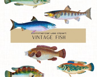カラフルな魚のクリップアート バンドル、ビンテージの魚のイラスト、魚の png、DIY クラフト コラージュ、文房具、デコパージュ、コラージュ、ポスター用のクリップアート