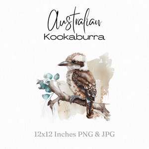 Kookaburra clipart, aquarel vogel print, Australische vogel illustratie, kookaburra png, Kookaburra Wall Art afdrukbaar commercieel gebruik
