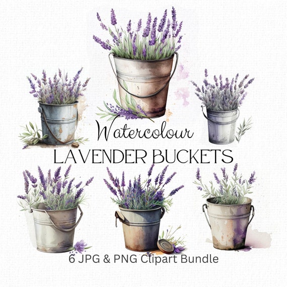 Lavender Bucket Clipart Bundle, Lavender png, Rustic Clipart, Farmhouse Clipart, Purple Flowers, Floral Clipart Bundle, Commercial Use