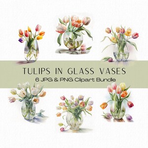 Tulpen in vazen clipartbundel, tulp clipart, glazen vaas, bloemenvaas, tulp png, tulp bloemen, aquarel tulpen, mooie vazen, tulpen in vazen