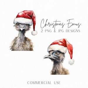 Emu Weihnachtscliparts, Aussie Weihnachtscliparts, Xmas Hüte, Aquarell Xmas, Australische Weihnachtsvögel, Emu Clipart, kommerzielle Nutzung