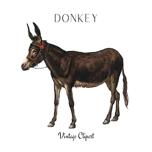 Donkey Clipart, Vintage Donkey Illustration, Printable Donkey Graphic Element, Clipart for Decoupage, Collage, Scrapbooking Paper Donkey PNG