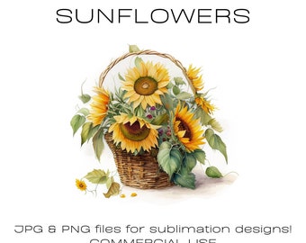 Graphiques de tournesol aquarelle, Clipart d’été, Tournesols png, Fleurs jaunes Panier en osier Floral Clipart Aquarelle Florale, Utilisation commerciale